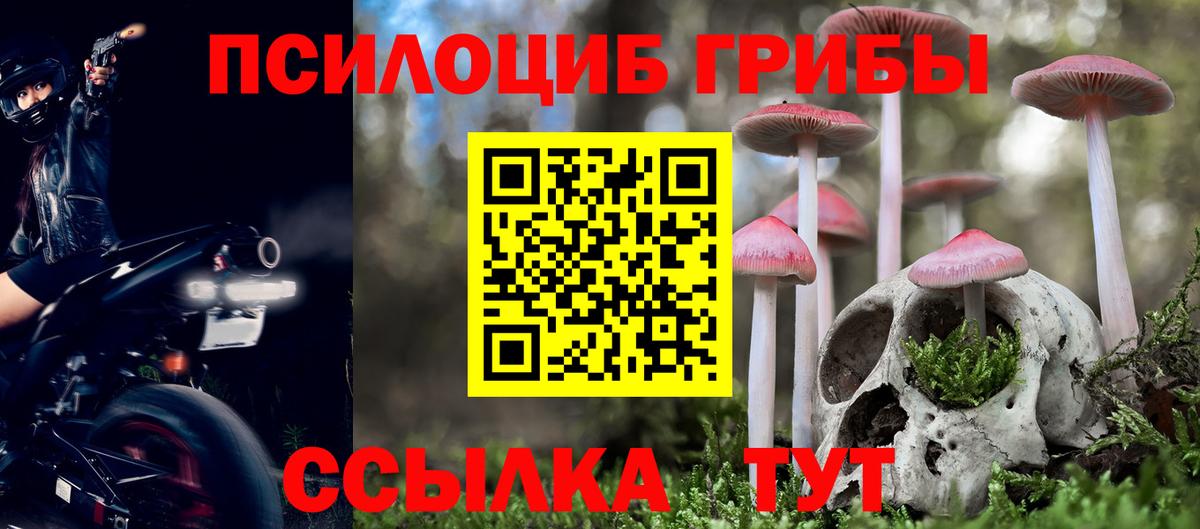 Нефтеюганск  Псилоцибиновые грибы Cubensis  Вход с VPN 